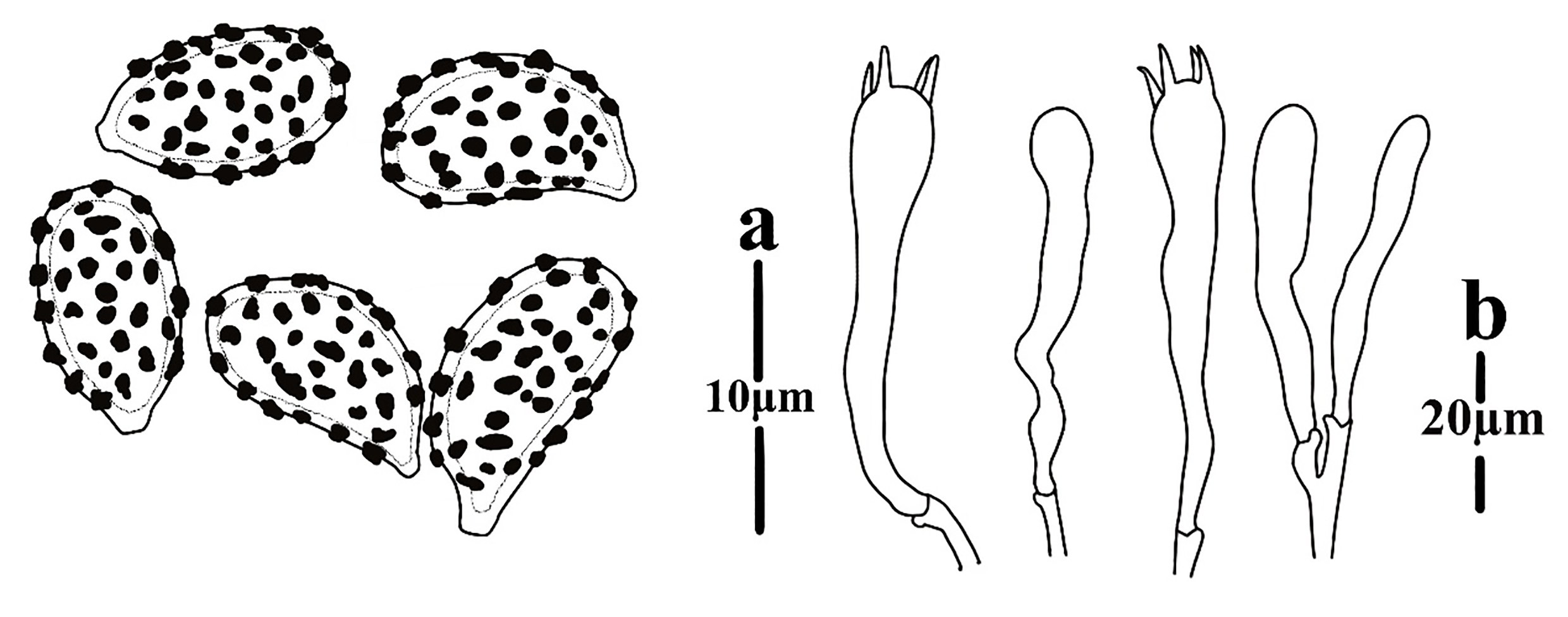 Figure 136